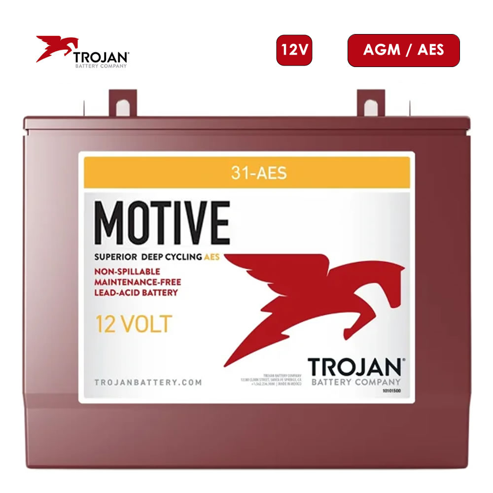 Batería Trojan 31-AES 12V